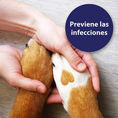 Canosept Spray Para Heridas En Perros 75ml - Spray Antiinflamatorio Para La Limpieza De Heridas Y El Apoyo A La Cicatrización De Las Mismas