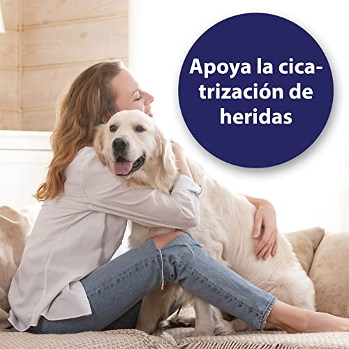 Canosept Spray Para Heridas En Perros 75ml - Spray Antiinflamatorio Para La Limpieza De Heridas Y El Apoyo A La Cicatrización De Las Mismas