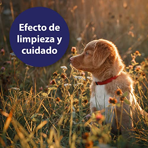 Canosept Spray Para Heridas En Perros 75ml - Spray Antiinflamatorio Para La Limpieza De Heridas Y El Apoyo A La Cicatrización De Las Mismas