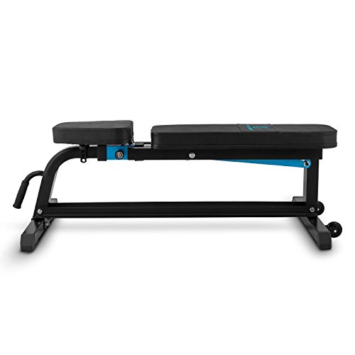 CapitalSports Ad Just - Banco musculación, Banco Abdominales hasta 300 kg, Rack musculación con Varios Niveles de Apoyo Ajustables, Asiento Regulable, Auero sintético alcochado, Negro