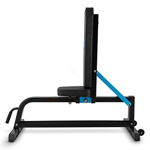 CapitalSports Ad Just - Banco musculación, Banco Abdominales hasta 300 kg, Rack musculación con Varios Niveles de Apoyo Ajustables, Asiento Regulable, Auero sintético alcochado, Negro