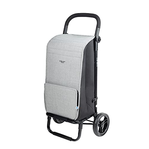 Carlett Carro de la Compra 2 Ruedas | Lett201 Urban Style | Carrito Plegable con Gran Capacidad 25kg, Bolsa Principal 38L, Térmica 3,4L y Bolsillo Posterior, Gris