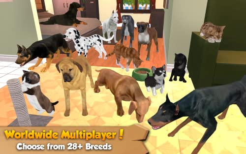 Cat and Dog Online - Multiplayer Simulator