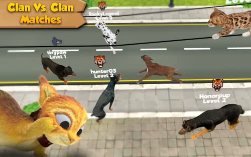 Cat and Dog Online - Multiplayer Simulator