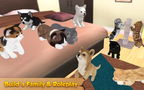 Cat and Dog Online - Multiplayer Simulator