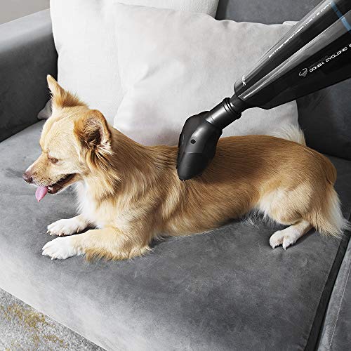 Cecotec Aspirador de Mano Conga Immortal ExtremeSuction 22,2 V Animal Hand. 22,2 V. Potente. para sólidos y líquidos. Accesorio para Mascotas, casa y Coche. Tecnología ciclónica. Autonomía 25 min.