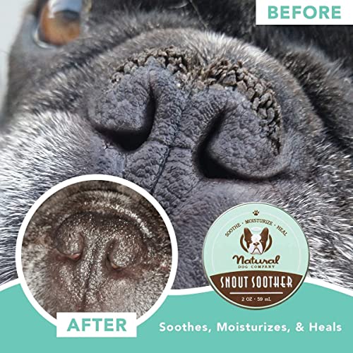 Chupete de hocico – Natural Dog Company Skin Soother 59 ml | Remedio seco agrietado y crujiente para nariz de perro seca