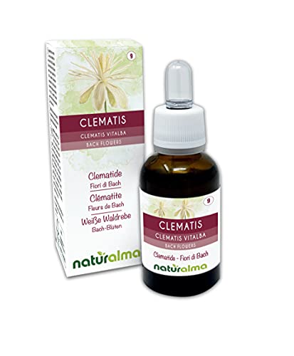 Clematis o Clemátide (Clematis vitalba) Flores de Bach Naturalma | No. 9 | Gotas 30 ml | Extracto líquido sin alcohol | Esencias florales | Vegano y libre de alcohol