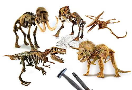 Clementoni - 97857 - Science & Play Lab - Prey and Predators - excavaciones fósiles 5 en 1 - Juego científico para excavar y Montar Dinosaurios a Partir de 7 años - Fabricado en Italia, Multicolor