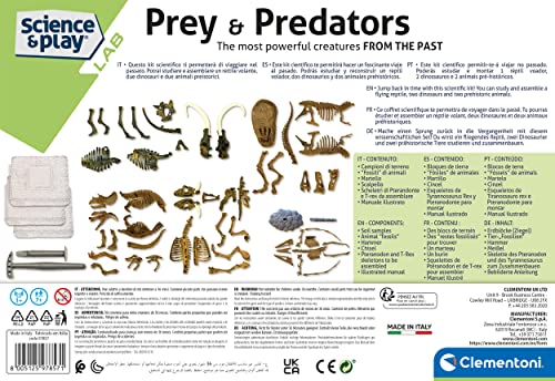 Clementoni - 97857 - Science & Play Lab - Prey and Predators - excavaciones fósiles 5 en 1 - Juego científico para excavar y Montar Dinosaurios a Partir de 7 años - Fabricado en Italia, Multicolor