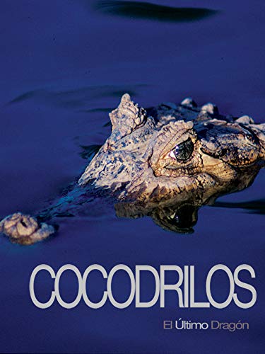 Cocodrilos, el último dragón