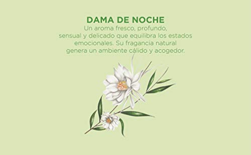 CRISTALINAS. Aceites Esenciales incluidos para Humidificador ultrasonico. Esencia para difusor. Incluye aceites Naturales. Esencia concentrada Hidrosoluble. 25ml. Aroma Dama de Noche (Unidad)