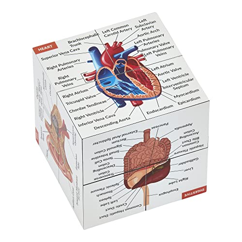 Cubo de estudio de anatomía humana | Estudia 9 partes del cuerpo humano | Guía de revisión de anatomía perfecta | Gran regalo para enfermeras y estudiantes de medicina