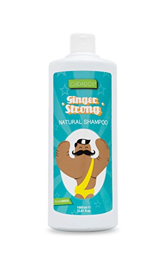 Cuidados Champú Jengibre Ginger Strong, Estimulante Capilar, Anticaspa, Antioxidante, con Panthenol, Todo Tipo de Cabello, Único, 1 Litro