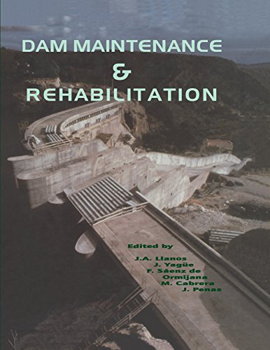 Dam Maintenance and Rehabilitation: Proceedings of the International Congress on Conservation and Rehabilitation of Dams, Madrid, 11-13 November 2002 (English Edition)