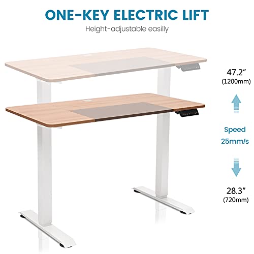DCHOUSE Escritorio de altura regulable eléctricamente con 2 motores con memoria, función de protección contra colisiones, con tablero de madera maciza de 120x60cm (Arce, Marco Blanco)
