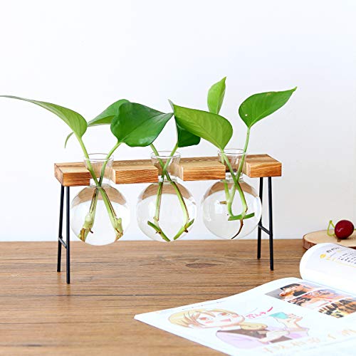 DEDC Florero de escritorio con bombilla de vidrio con soporte de madera maciza retro para plantas hidropónicas, decoración de boda (3 bombillas)