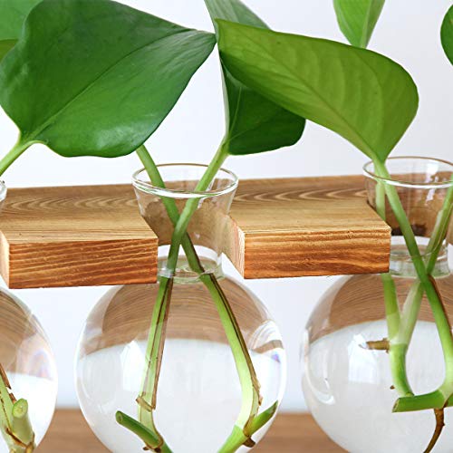 DEDC Florero de escritorio con bombilla de vidrio con soporte de madera maciza retro para plantas hidropónicas, decoración de boda (3 bombillas)