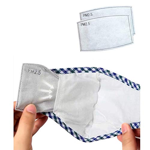 DINKANUR 100pcs filtros de carbón activado PM2.5 de 5 capas reemplazables de papel antivaho para adultos, hombres y mujeres