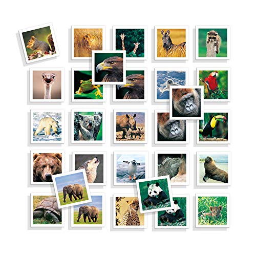 Diset - Memo Photo Animals - Juego educativo de memoria visual para niños a partir de 3 años