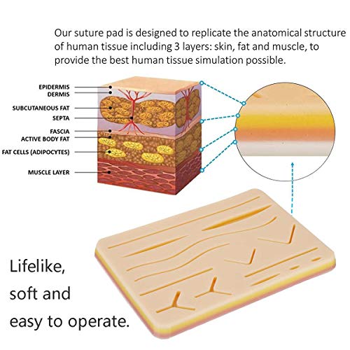 DZWJ Kit de Entrenamiento quirúrgico de sutura de Piel médica Almohadilla de Silicona Tijeras de Aguja Suave Fácil de operar Silicona Ayudas de enseñanza médica