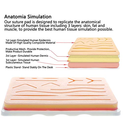 DZWJ Kit de Entrenamiento quirúrgico de sutura de Piel médica Almohadilla de Silicona Tijeras de Aguja Suave Fácil de operar Silicona Ayudas de enseñanza médica