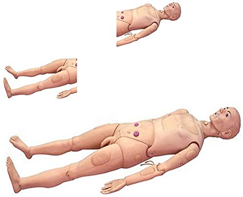 El 170cm Maniquí de atención al Paciente Capacitación CPR Simulador Geri básico Habilidades de enfermería Geriátrico Modelo Humano Maniquí para la Docencia Médica en Enfermería, Tamaño Natural