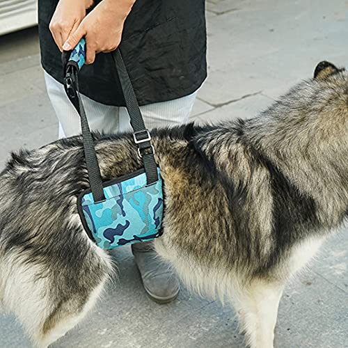 El Arnés del Perro, Las Patas Traseras De Los Perros Grandes Sostienen El Arnés del Perro Y El Perro Levanta El Arnés para Ayudar A Los Ancianos Y Levantar La Espalda De Los Heridos,Azul