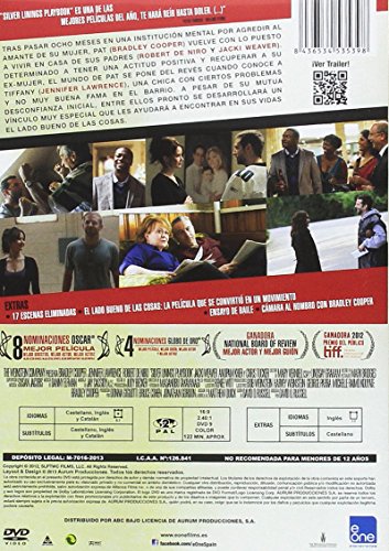 El lado bueno de las cosas [DVD]