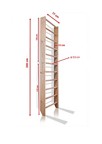 Escalera Sueca Sport-0-240 Espaldera para Gimnasio, Espaldera de Fitness, Complejo Deportivo de Gimnasia, Gimnasia de los niños en casa, Barras