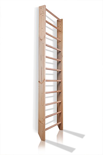 Escalera Sueca Sport-0-240 Espaldera para Gimnasio, Espaldera de Fitness, Complejo Deportivo de Gimnasia, Gimnasia de los niños en casa, Barras