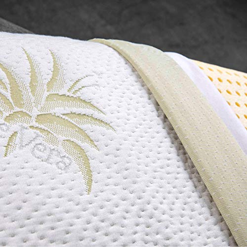 EvergreenWeb – Almohadas Cama cervicales de Memory Foam 40 x 70 Bajos 9 cm, Forro con aceites Esenciales Aloe Vera Funda extraíble y Lavable en Lavadora, par Almohadas automodellanti