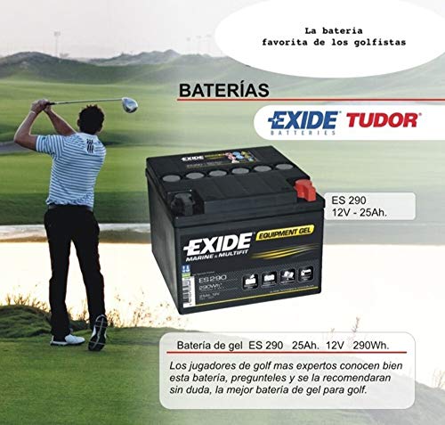 Exide - Batería plomo sellada gel ES290 12V 25Ah 240A - Batería(s)