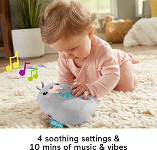 Fisher-Price Morsa con sonido y vibraciones Peluche juguete para bebés (Mattel GRT91)