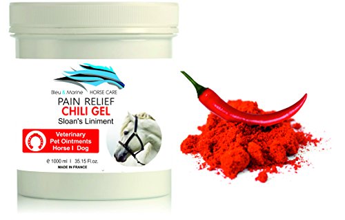 Gel de Chili Caballo 1000 ml Bálsamo Caballo Linimento Anti Dolor con Capsaicina