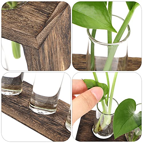 GLAITC Jarrón Hidropónico de Madera Soporte para Plantas hidropónicas Maceta De Vidrio para Colgar En La Pared estación de propagación Soporte para Plantas de Pared con 5 jarrones de Tubos de ensayo