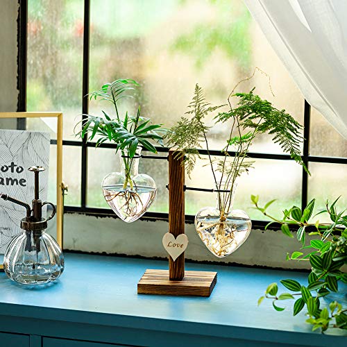 Glasseam Terrario De Vidrio para Plantas con Soporte De Madera, Jarrones Hidropónicos De Vidrio De Doble Corazón Creativo, Estación De Propagación para Plantas Modernas