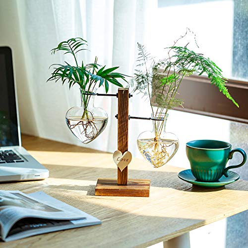 Glasseam Terrario De Vidrio para Plantas con Soporte De Madera, Jarrones Hidropónicos De Vidrio De Doble Corazón Creativo, Estación De Propagación para Plantas Modernas