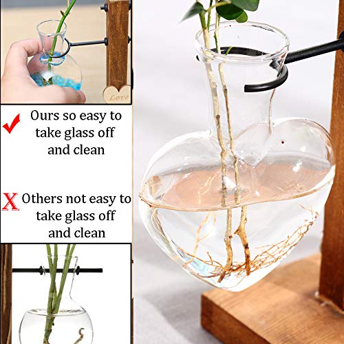 Glasseam Terrario De Vidrio para Plantas con Soporte De Madera, Jarrones Hidropónicos De Vidrio De Doble Corazón Creativo, Estación De Propagación para Plantas Modernas