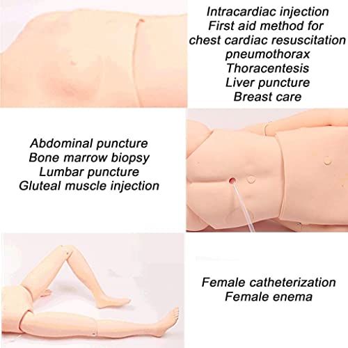 GRFSD Maniquí de Enfermeria Maniquí de Entrenamiento Geriátrico Maniquí de Habilidades for el Cuidado del Paciente Enfermería Médica Modelo de Entrenamiento for el Entrenamiento de Enfermería