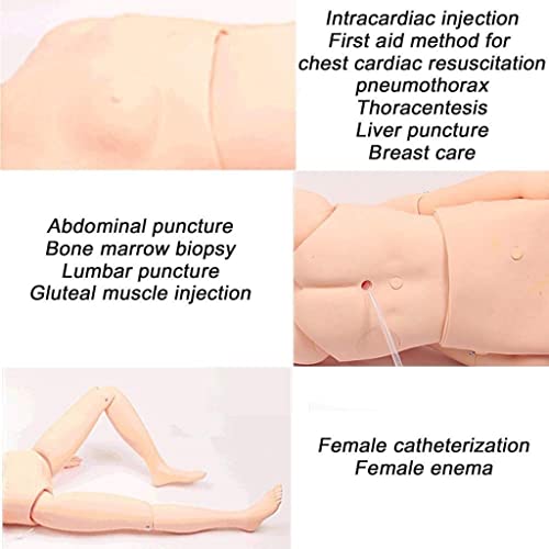 GRFSD Tamaño Natural Cuidado del Paciente Simulador Maniquí de Entrenamiento Geriátrico Maniquí de Habilidades for el Cuidado del Paciente for el Entrenamiento de Enfermería