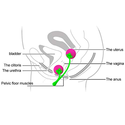 Healifty Kegel Bolas Ben Wa Bolas Kegel ejercicio pesas ejercicios del piso pélvico dispositivo de control de la vejiga para mujeres recuperación del embarazo