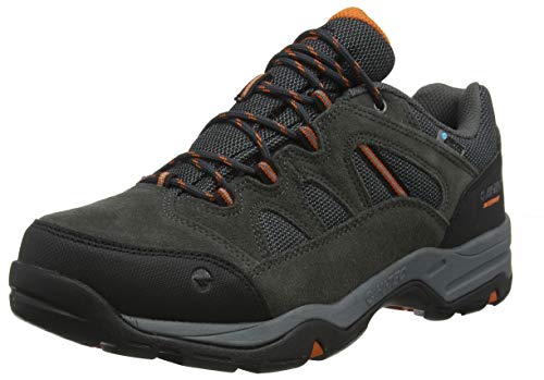 Hi-Tec Banderra II Low WP, Zapatillas de Senderismo Hombre, Gris Charcoal Graphite Burnt Orange 51, 44 EU