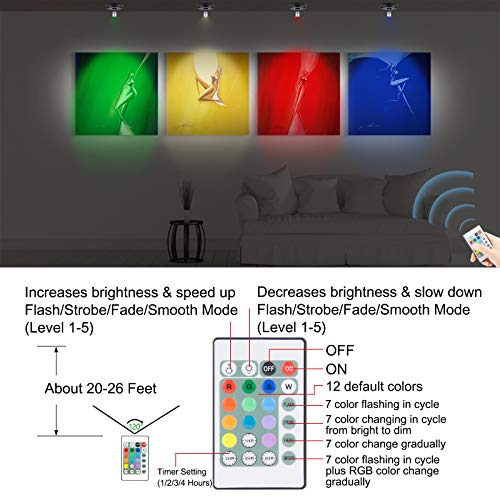 HONWELL Foco LED inalámbrico con batería,luz de disco con control remoto,temporizador de iluminación RGB para tablero de dardos, iluminación de imágenes giratoria para pintura de espejo,2 piezas,negro