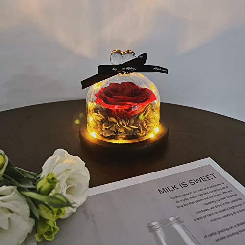 Hyindoor Rosa Eterna con Luces LED Rosa Natural Presevada en Cúpula de Vidrio sobre Base Pino Flor Encantada para San Valentín Cumpleaños Día de la Madre Aniversario Bodas Navidad