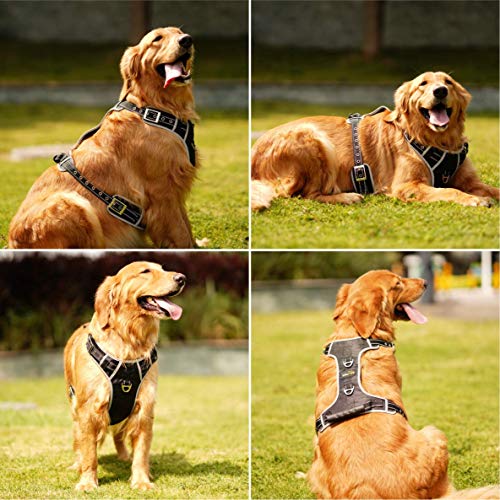 Idepet Arnés para Perros sin tirón con manija Chaleco para arnés Reflectante Ajustable para Mascotas Control fácil para Perros pequeños medianos Grandes Entrenamiento Caminata