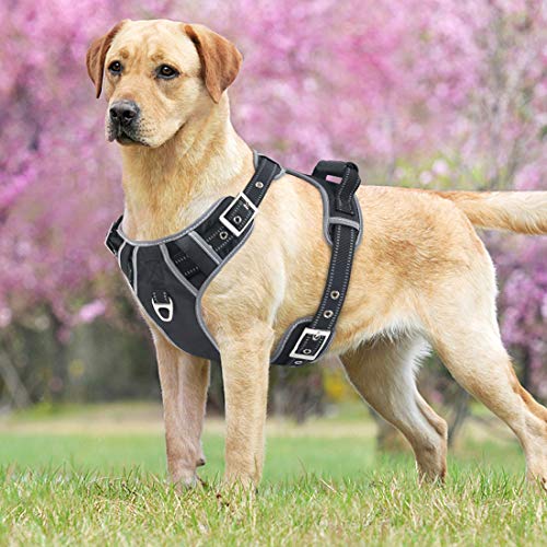 Idepet Arnés para Perros sin tirón con manija Chaleco para arnés Reflectante Ajustable para Mascotas Control fácil para Perros pequeños medianos Grandes Entrenamiento Caminata