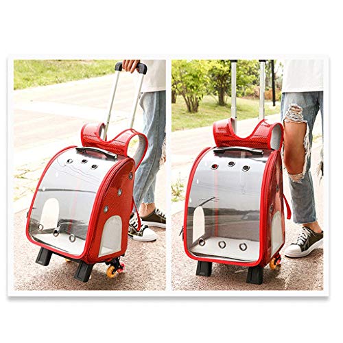 KHUY Carrito para Perros con Las Ruedas, Perro Cochecito Mochila Transportin Perro Pequeño con Vent, Oxford Tela y Apet de Acrílico Transparente, Palanca de Altura Regulable (Color : Red)