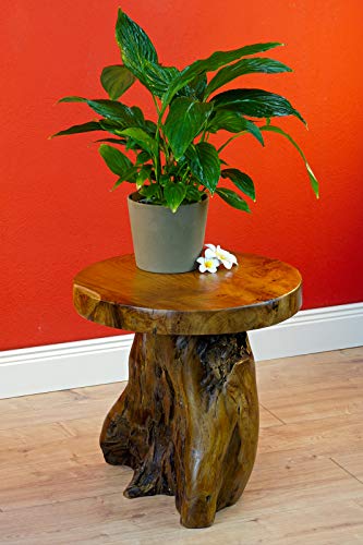 Kinaree Mesa auxiliar JOMTIEN de madera maciza de teca – 40 cm redonda de madera de raíz tronco de árbol – taburete para flores