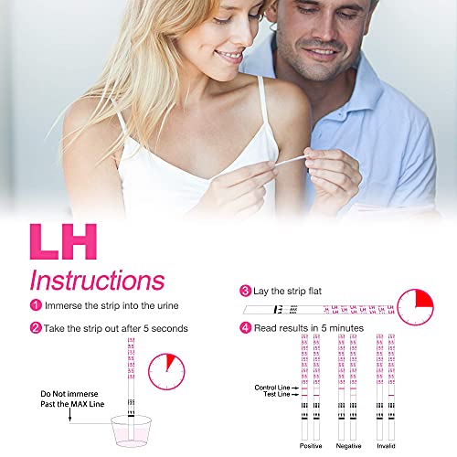 Kit prueba de ovulación MOMMED HCG15-LH40, 15 pruebas de embarazo y 40 tiras de test de ovulación con 55 vasos de orina Prueba de embarazo temprana confiable y rápida